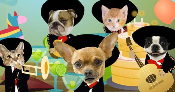 Mariachi BDay, View the Popular Mariachi BDay eCard